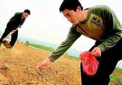 三月份可以種花生嗎？花生幾月份播種比較好？