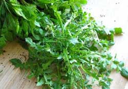 薺菜不能和什么一起吃？薺菜和什么相克？