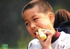 春天能吃甘蔗嗎？春天吃甘蔗有什么好處？
