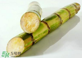 春天能吃甘蔗嗎？春天吃甘蔗有什么好處？