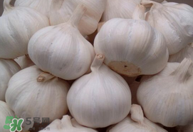 大蒜爛了一點還能吃嗎？大蒜爛根是怎么回事？