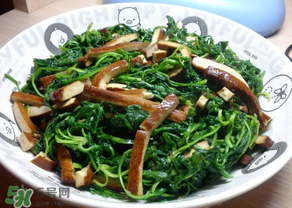 薺菜吃多了會(huì)中毒嗎？吃薺菜中毒怎么辦？