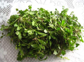 野生薺菜幾月份有？野生薺菜什么時候有？