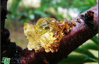 吃什么對皮膚好？怎么吃皮膚好？