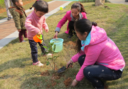植樹節(jié)一般種什么樹？植樹節(jié)種什么樹比較好？