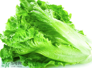 春天能種生菜嗎？生菜春天可以種嗎？