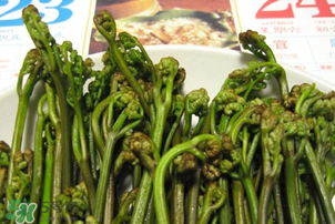 蕨菜為什么苦？蕨菜苦是怎么回事？
