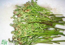 蕨菜怎么去苦味？蕨菜怎么做不苦？