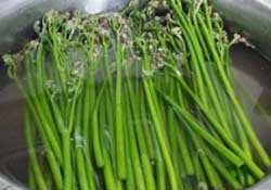 蕨菜怎么洗？蕨菜怎么清洗才干凈？