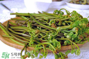 蕨菜怎么洗？蕨菜怎么清洗才干凈？