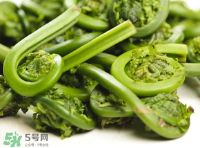 蕨菜怎么洗？蕨菜怎么清洗才干凈？