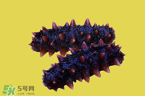春天能吃海參嗎？春天吃海參效果好嗎？