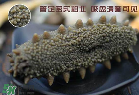 春天能吃海參嗎？春天吃海參效果好嗎？