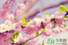 春天容易得水痘嗎？春天是水痘的高發(fā)季節(jié)嗎？