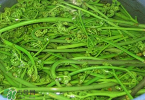 蕨菜怎么洗？蕨菜怎么清洗才干凈？