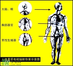 防輻射服什么時(shí)候開(kāi)始穿？防輻射服真的有用嗎？