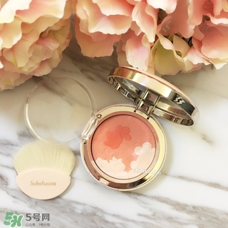 雪花秀花瓣腮紅多少錢(qián)？雪花秀花瓣腮紅專(zhuān)柜價(jià)格