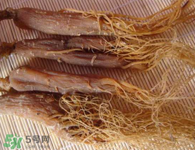 春天能吃紅參嗎？春天可以吃紅參嗎？