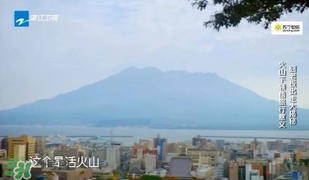 明治膠原蛋白粉怎么吃？明治膠原蛋白粉用法用量
