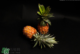 春天可以吃菠蘿嗎？春天吃菠蘿有什么好處？