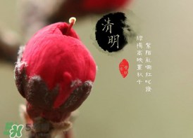 清明節(jié)為什么要吃清明果？為什么清明節(jié)要吃清明果？