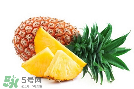 3月份有菠蘿吃嗎？三月份菠蘿可以吃嗎？