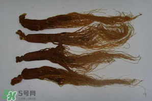 紅參可以天天吃嗎？紅參的功效與作用