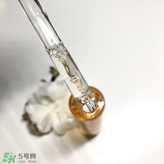 嬌蘭黃金蜜原蜜怎么用？嬌蘭黃金蜜原蜜使用方法