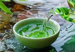 清明茶什么時(shí)候采？采清明茶什么時(shí)候結(jié)束？