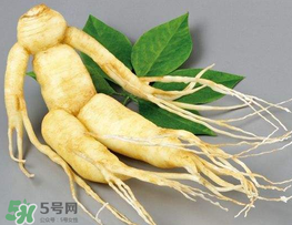 春天能吃高麗參嗎？春天可以喝高麗參湯嗎？