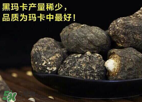 春天能吃瑪卡嗎？女人春天能吃瑪卡嗎？