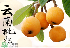 枇杷能放冰箱嗎？枇杷可以放冰箱保存嗎？