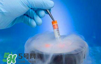 凍卵是什么？?jī)雎炎有枰嗌馘X(qián)？