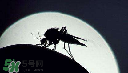蚊蟲(chóng)叮咬會(huì)傳播艾滋病嗎？蚊蟲(chóng)會(huì)傳染乙肝嗎？