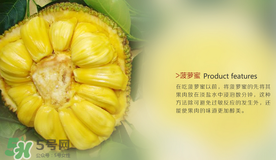 菠蘿蜜和榴蓮的區(qū)別 菠蘿蜜和榴蓮哪個好吃？