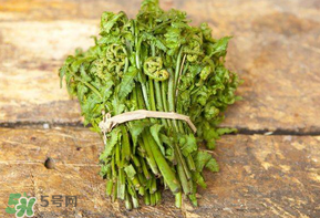 糖尿病能吃蕨菜嗎？糖尿病可以吃蕨菜嗎？