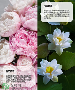 羽西丁一晨限定護(hù)膚品多少錢？羽西丁一晨限定價(jià)格