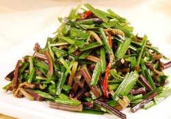 糖尿病能吃蕨菜嗎？糖尿病可以吃蕨菜嗎？