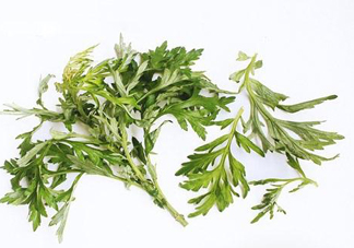 艾草可以治痛經嗎？艾草能治月經不調嗎？