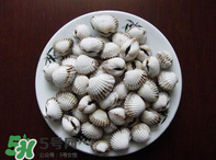 泥蚶怎么讀？泥蚶做法