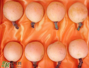糖尿病能吃枇杷嗎？糖尿病人能吃枇杷嗎？