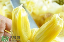 菠蘿蜜怎么吃？菠蘿蜜好吃嗎？