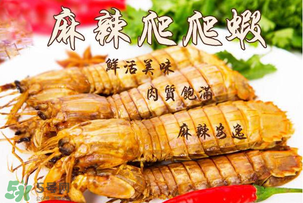 枇杷可以和海鮮能一起吃嗎？枇杷和海鮮一起吃吃好嗎？