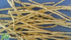 茅根的功效與作用 茅根有什么作用？