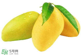 芒果哪里的最好吃？芒果哪種品種好吃？