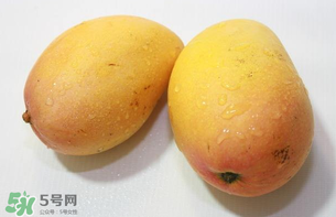 芒果哪里的最好吃？芒果哪種品種好吃？