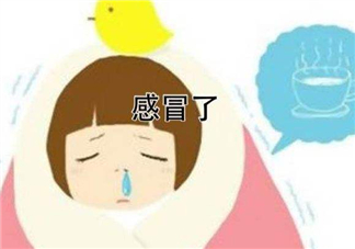 為什么總是感冒？總是感冒怎么回事？