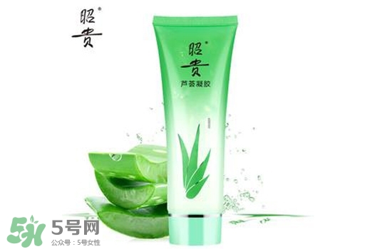 2017蘆薈膠哪個牌子好？2017蘆薈膠品牌推薦