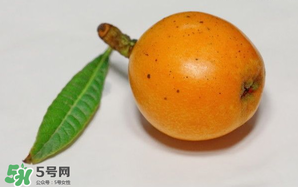 枇杷可以和蔥一起煮嗎？蔥和枇杷葉一起煮可以喝嗎？