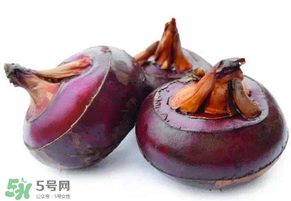 枇杷可以和荸薺一起煮水嗎？枇杷和荸薺能一起吃嗎？